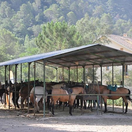 Alojamientos Rural Tejerina أرويو فريو المظهر الخارجي الصورة