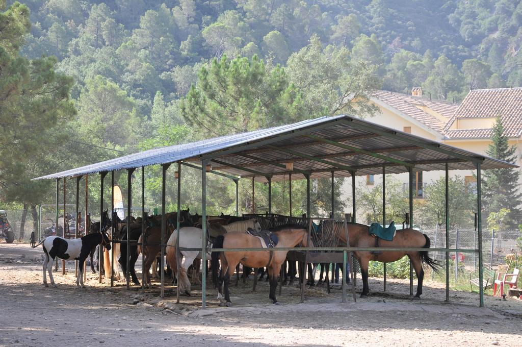 Alojamientos Rural Tejerina أرويو فريو المظهر الخارجي الصورة