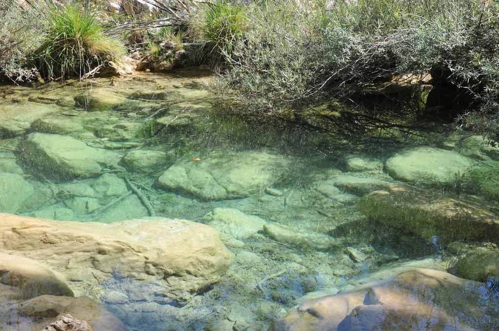 Alojamientos Rural Tejerina أرويو فريو المظهر الخارجي الصورة