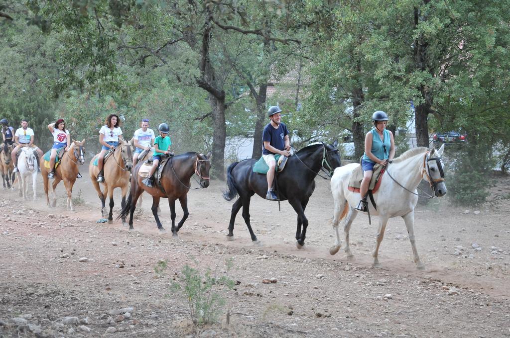 Alojamientos Rural Tejerina أرويو فريو المظهر الخارجي الصورة