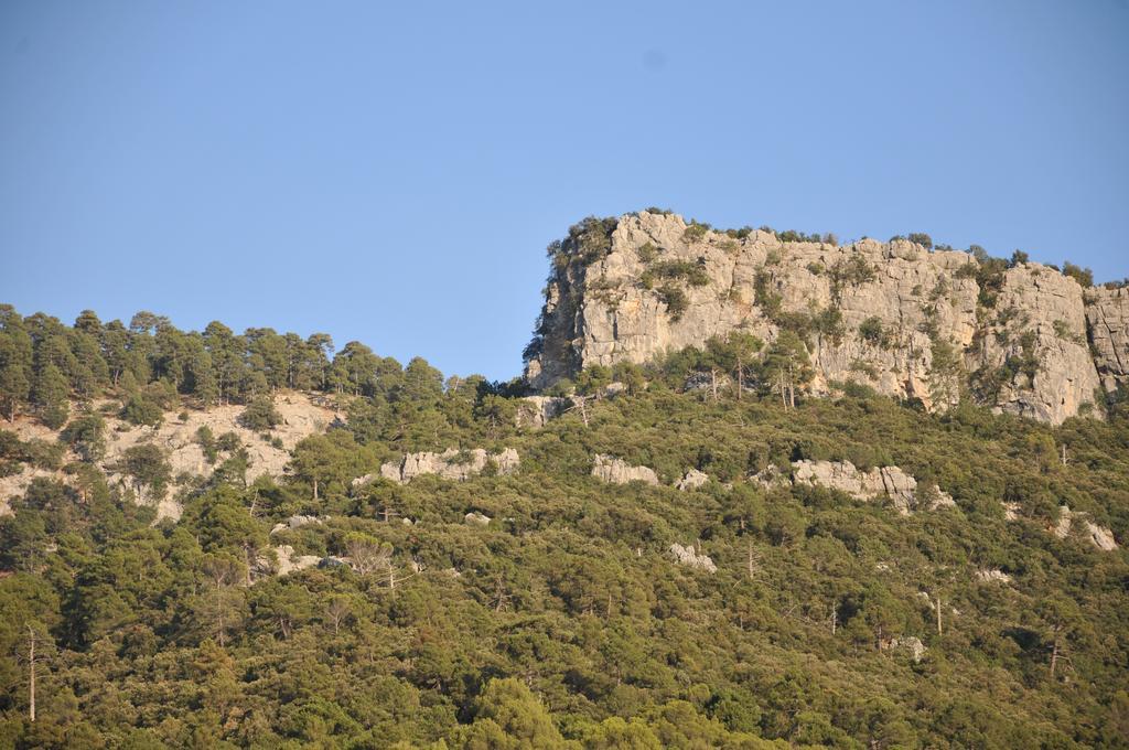 Alojamientos Rural Tejerina أرويو فريو المظهر الخارجي الصورة