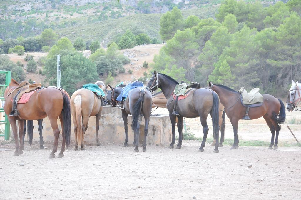 Alojamientos Rural Tejerina أرويو فريو المظهر الخارجي الصورة